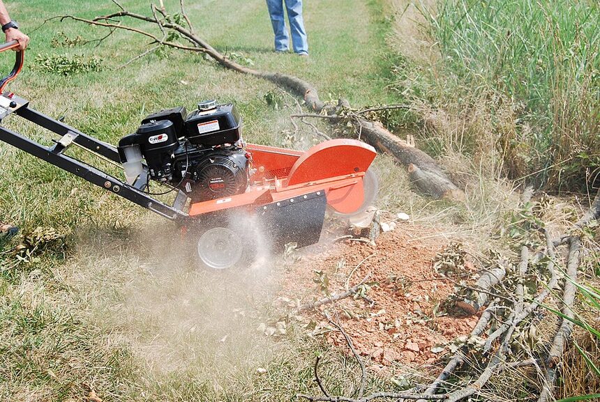 Stump grinder grinding a stump below grade