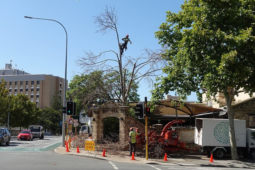 Crew performing roadside tree trimming with safety cones in Clovis